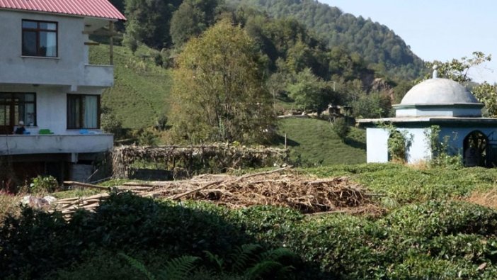 Rizeli'nin işine akıl sır ermez! 31 yıldır balkondan izliyor